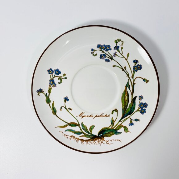 Set of 4 Villeroy & Boch Botanica Myosotis Palustris w/root Saucers 6" Plates - Picture 5 of 6